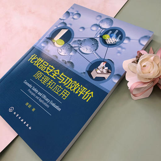 化妆品安全与功效评价:原理和应用 商品图3