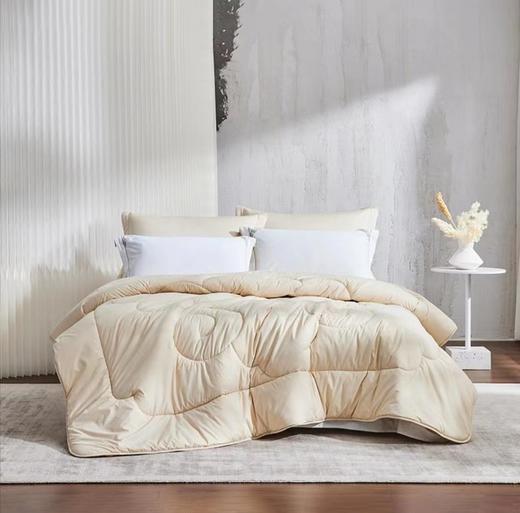 【Luolai罗莱厅】B7F 罗莱澳洲羊毛柔丝被 冬 200*230净重1700克 商品图1