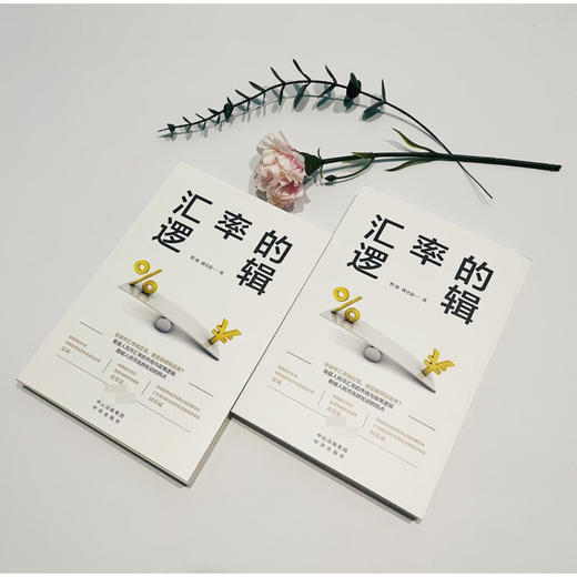 汇率的逻辑 管涛等 著 经济 商品图1