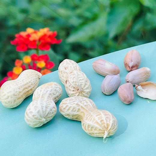陈皮花生  |  听说这个花生很火，确实好吃~ 商品图2
