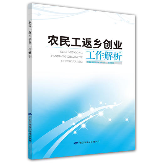 农民工返乡创业工作解析 商品图0