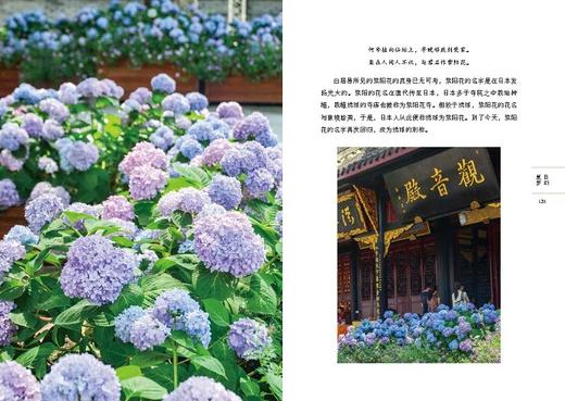 街巷里的四季：成都草木寻踪（自然感悟丛书） 商品图2