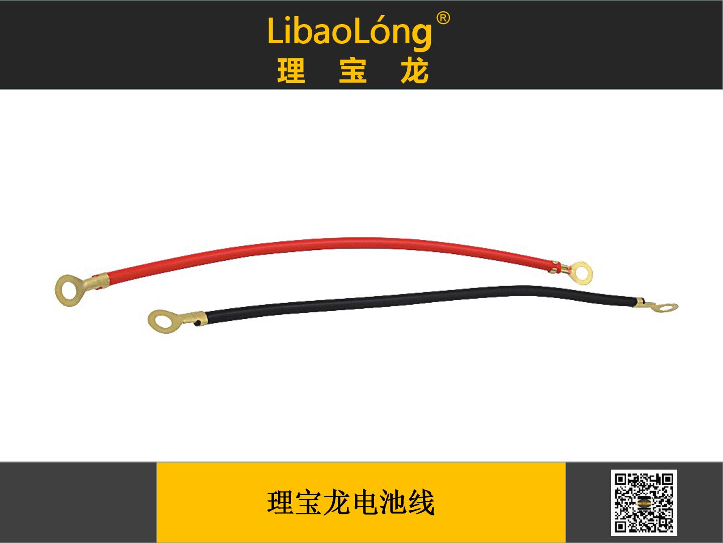 理宝龙电池（瓶）线
