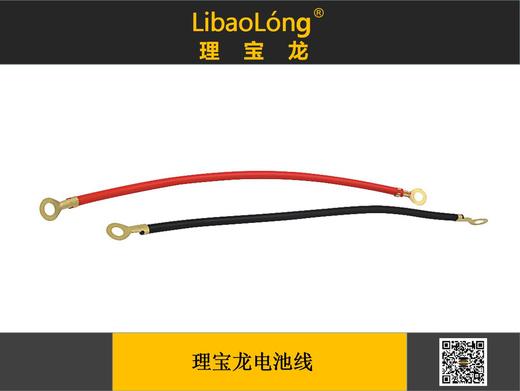 理宝龙电池（瓶）线 商品图0