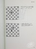 【中商原版】波尔加5334习题集 英文原版 Chess 5334 Problems Combinations and Games Bruce Pandolfini 商品缩略图8