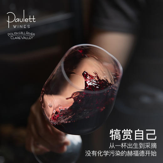 赫福德赤霞珠设拉子混酿干红葡萄酒 商品图2