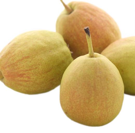 【亚欧超市】香梨500g±50g/份 商品图0