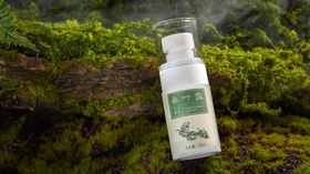 使用集锦 | 桑叶露使用方法集锦