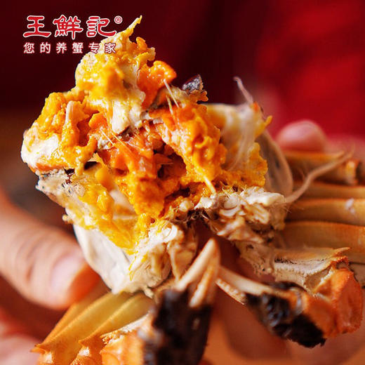 【下单后48-72小时发货】高邮湖 大闸蟹 公母对蟹礼盒装 10只5对装/8只4对装多种规格 可任意选择。吃蟹的季节到啦，大闸蟹吃起来！ 商品图1