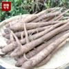【品质精选】阿斯牛牛凉山新鲜甜当归3斤/5斤装 商品缩略图4