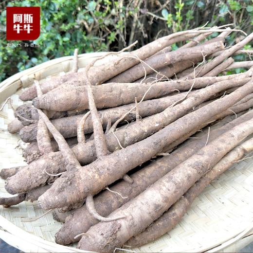 【品质精选】阿斯牛牛凉山新鲜甜当归3斤/5斤装 商品图4