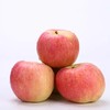 【山西·临猗冰糖心苹果】18度脆甜 自带冰糖心 果肉细腻 入口香醇 甜蜜多汁 商品缩略图6