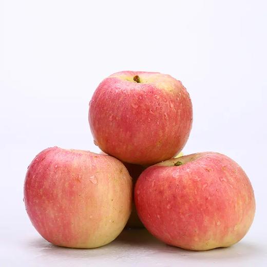 【山西·临猗冰糖心苹果】18度脆甜 自带冰糖心 果肉细腻 入口香醇 甜蜜多汁 商品图6