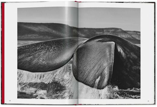 【现货】【TASCHEN】Sebastiao Salgado. GENESIS | 塞巴斯提奥·萨尔加多：创世纪 商品图6