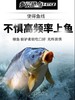 千寿不延展黑坑鱼线50M 商品缩略图2