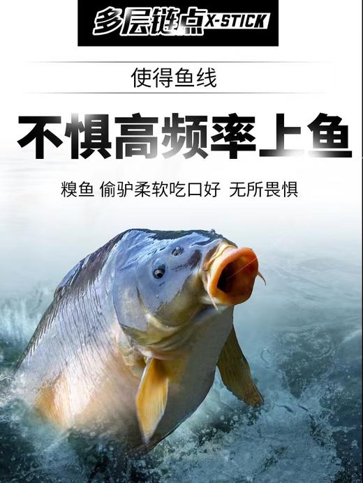 千寿不延展黑坑鱼线50M 商品图2