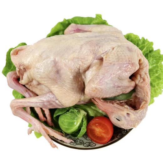 鲜嫩乳鸽300g 商品图0