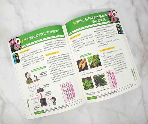 (仓发) 每天3分钟学会数理化：366个故事培养孩子的理科思维 超级演说家冠军刘媛媛推荐/北京联合出版公司/[日]小森荣治/9787559641571 商品图8