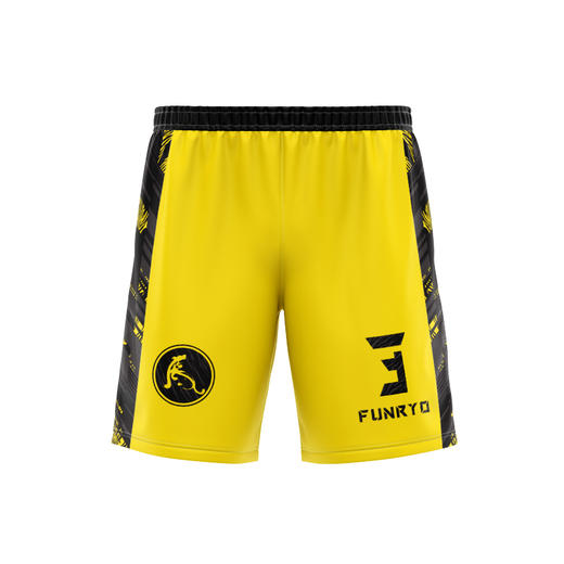 蜂锐FUNRYO定制T系列球服单上衣/短裤 青少年 成人 商品图1