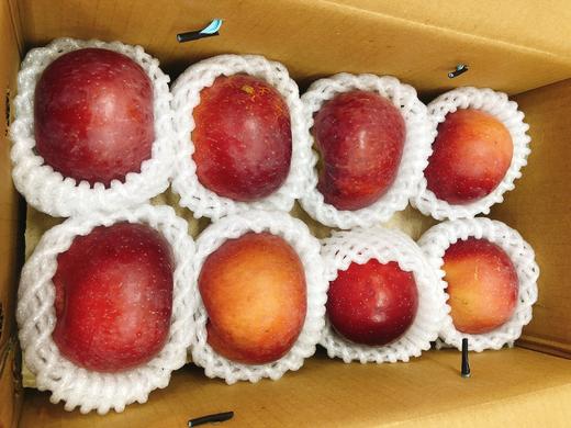 大凉山盐源苹果一箱（拼团） 商品图2