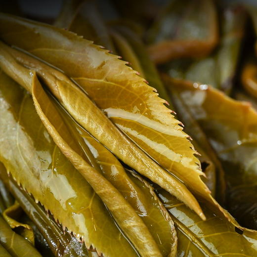 【私藏困鹿山】张大师私藏2019年困鹿山老料 只供内部老客 古300年纯料 商品图3