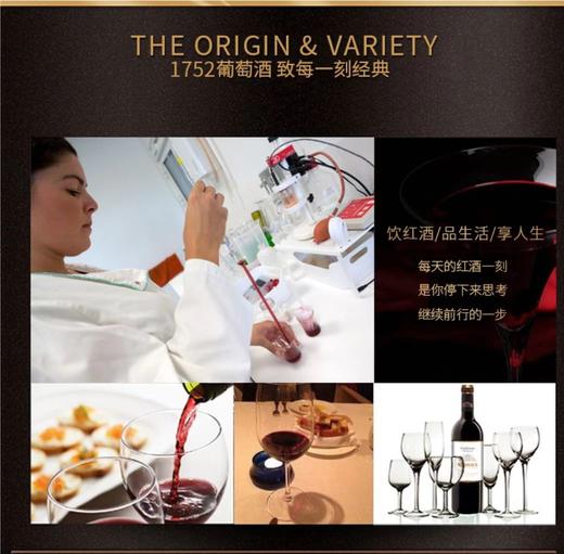 【中欧班列直供】法国1752哈贡堡波尔多葡萄酒 750ml/瓶 原装进口 商品图3