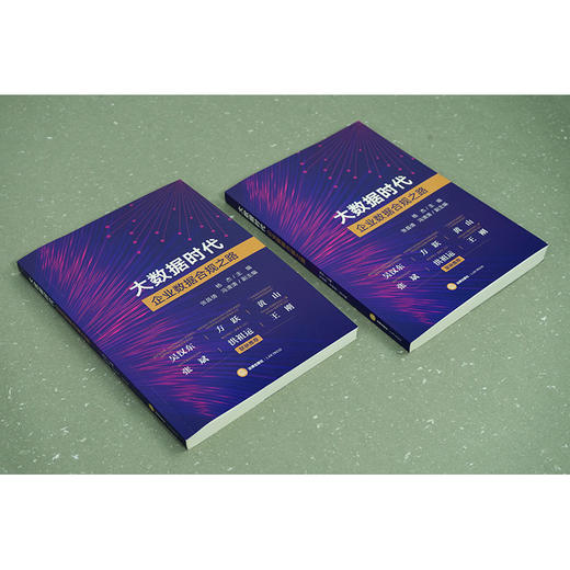 大数据时代企业数据合规之路  杨杰主编 张昌倩 冯清清副主编 商品图3