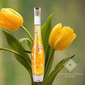 加拿大之花维达尔白冰葡萄酒Canada Flower Vidal Icewine（2017）