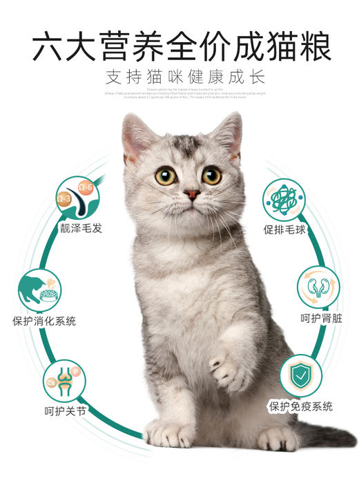 麦富迪三文鱼油猫粮美短英短蓝猫成猫粮高营养天然粮 商品图2
