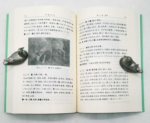 《尔雅注证》，上下册，郭郛著，商务印书馆2013年版，定价70，售价35元。
  商品图5