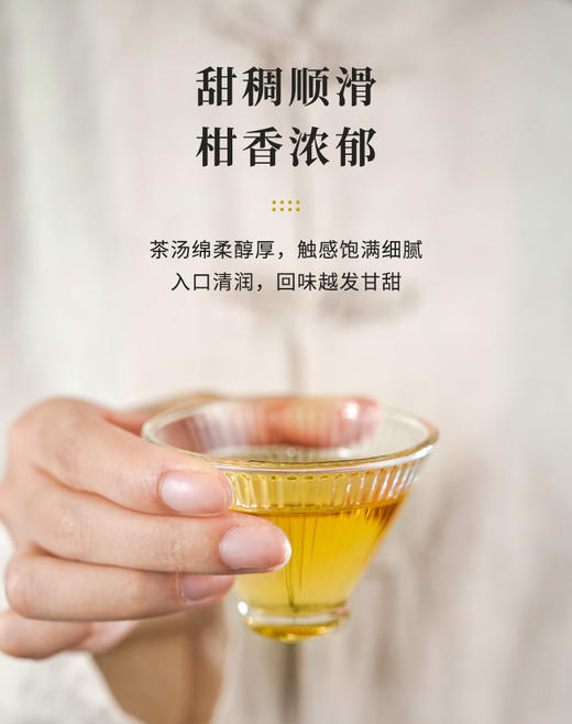 湖畔居西湖十景系列陈皮白茶龙珠 正宗福鼎老寿眉新会陈皮茶便携30g 商品图2