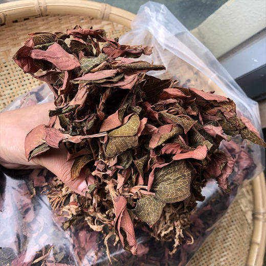金线莲   特级 商品图3