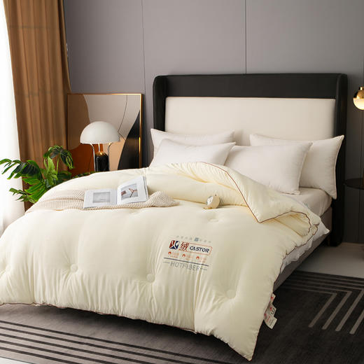 火山岩纤维速热保暖被，蓄热保暖，面料细腻，软糯亲肤 商品图2