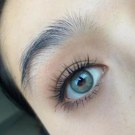 Bollycon日抛美瞳 莱琳青灰 14.2mm