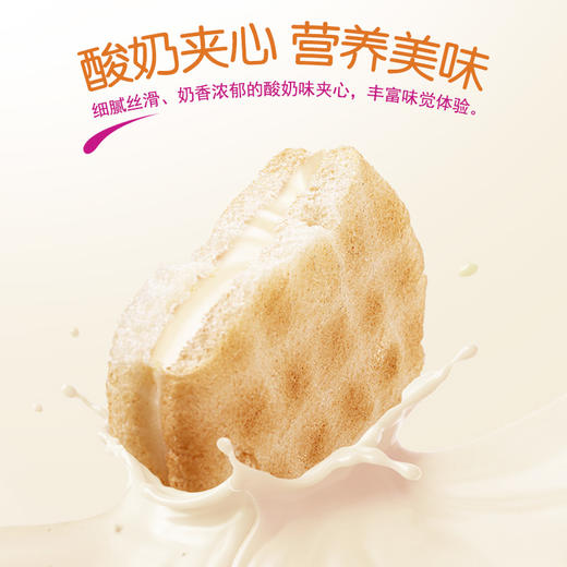 贝斯美婴幼儿有机米饼儿童酸奶味夹心米饼32g 商品图2