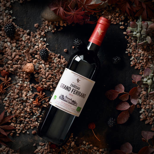 翡马 波尔多有机葡萄酒 翡朗干红 13度 750ml 商品图2