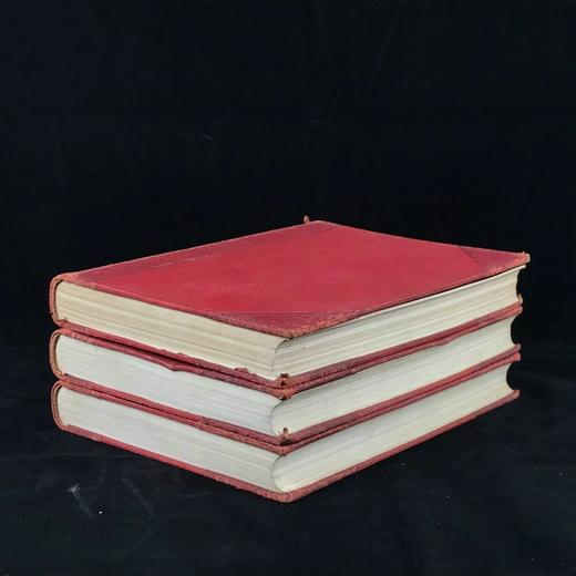 约20世纪初 新版自然史（全3卷） 数千幅插图 真皮精装16开 商品图1