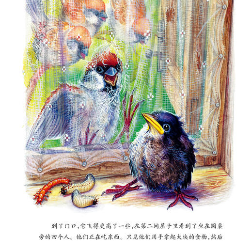 《大自然里的故事》：《原始针叶林里的鸟》《老树上的猫头鹰》《海边的森林猫》（共3册） 商品图6