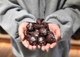 彩农茶｜2017秋曼松龙珠