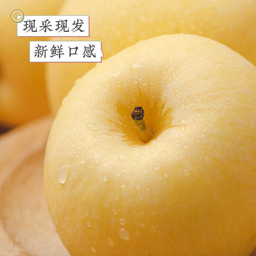 山东威海/烟台  黄金维纳斯苹果  多规格任选 商品图3