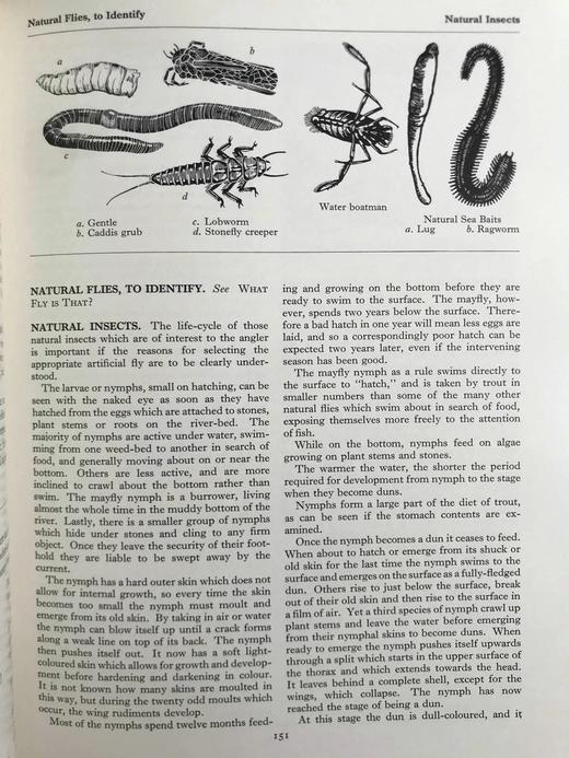 诺伊斯垂钓百科全书 数百幅插图 精装16开 商品图10