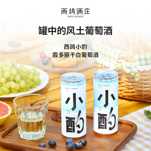 西鸽小酌（霞多丽）干白葡萄酒 商品图1