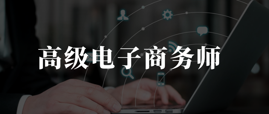 高级电子商务师