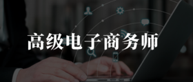 高级电子商务师