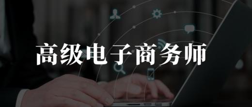 高级电子商务   中级电子商务师  高级互联网营销师  中级互联网营销师  中级电子商务师+高级电子商务师 商品图2