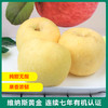 沣林有机黄金维纳斯苹果普通装4.8斤（80mm中果） 商品缩略图1