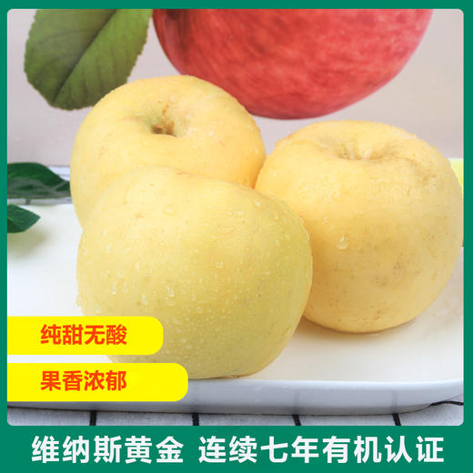沣林有机黄金维纳斯苹果普通装4.8斤（80mm中果） 商品图1