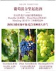 【中欧班列直供】意大利乐贝蒂绝干高泡白葡萄酒 750ml/瓶  原装进口 商品缩略图4
