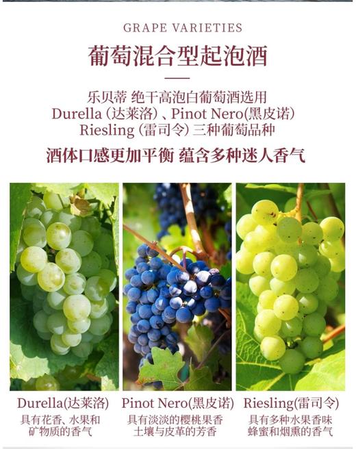 【中欧班列直供】意大利乐贝蒂绝干高泡白葡萄酒 750ml/瓶  原装进口 商品图4