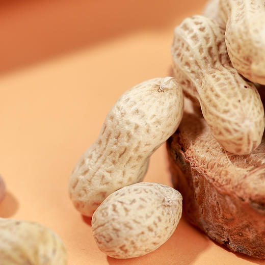 旭东百里挑一蒜香花生山核桃水煮花生带壳晒干零食小吃下酒菜年货 商品图2